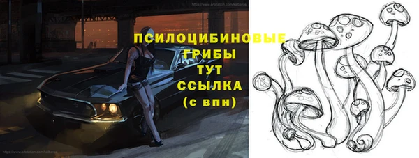 гашик Абаза