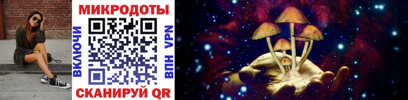 Псилоцибиновые грибы Psilocybine cubensis  сколько стоит  Усть-Кут 